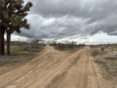 17 Smith, Phelan, CA 92371 - photo 4