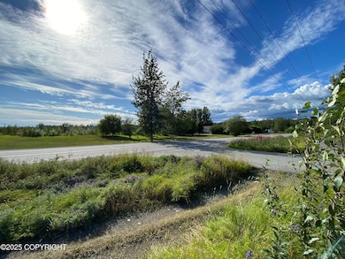 5740 E Blue Lupine Dr, Wasilla, AK 99654 - photo 2