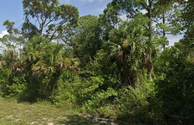 27381 Monte Cristo Blvd, Punta Gorda, FL 33955 - photo 5