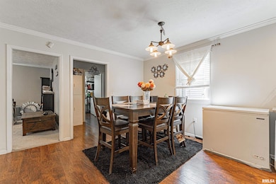 101 S Bogardus St, Elkhart, IL 62634 - photo 4