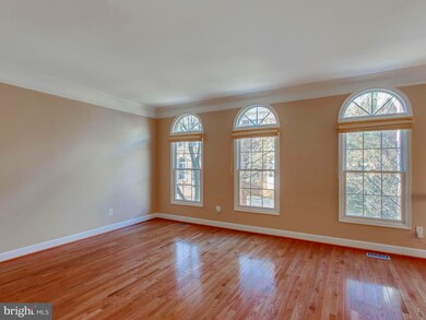 4635 Knight Place, Alexandria, VA 22311 - photo 6