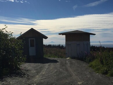Starter Cabin and Shed