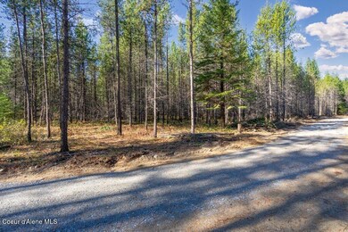 Lot 3 Amaze Way, Athol, ID 83801 - photo 4