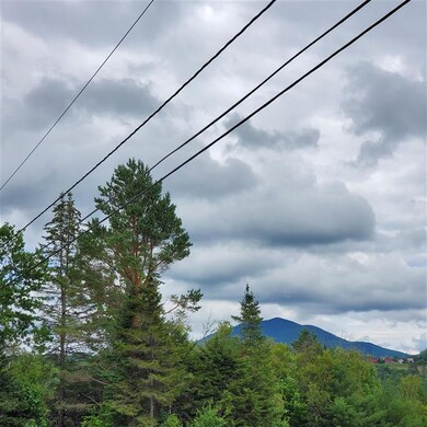 89 Dune Way, Lyndonville, VT 05851 - photo 3