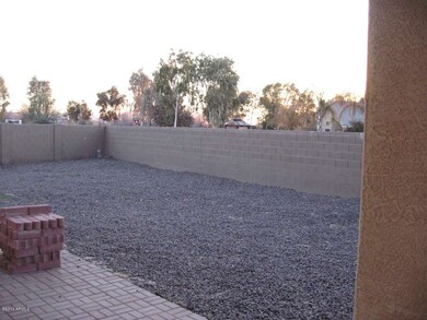 back yard