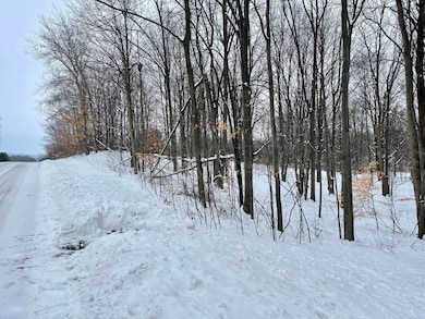 VL W Grant Rd, Shelby, MI 49455 - photo 3