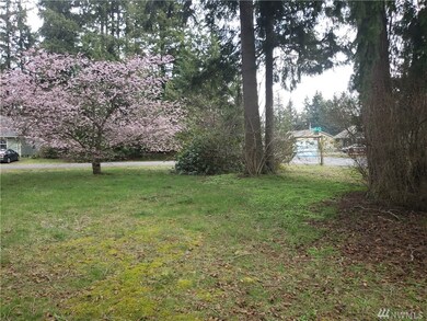 16145 Agate St SE, Yelm, WA 98597 - photo 3