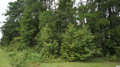 450 Boggy Rd, Conway, SC 29526 - photo 2