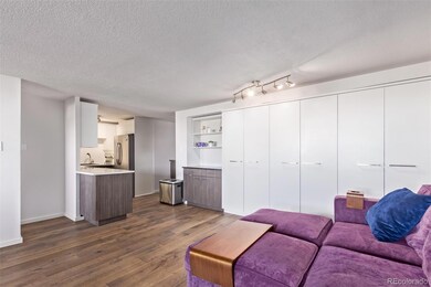 Sundowner unit 1103, Denver, CO 80218 - photo 5