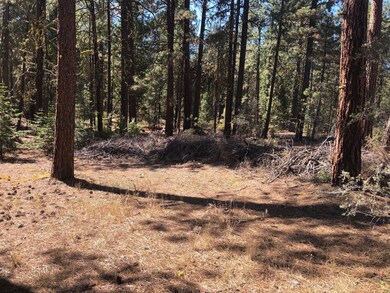 0 Kodiak Ln unit lot 500 220132728, Bonanza, OR 97623 - photo 5
