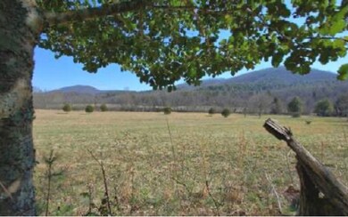 LT 11 Indian Village Rd, Blue Ridge, GA 30513 - photo 3