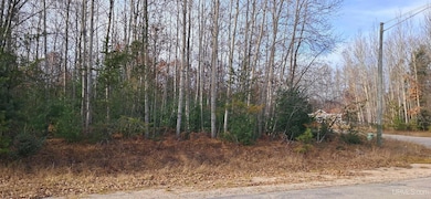 62 Wintergreen Cir, Gladstone, MI 49837 - photo 6