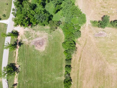 DJI_0830
