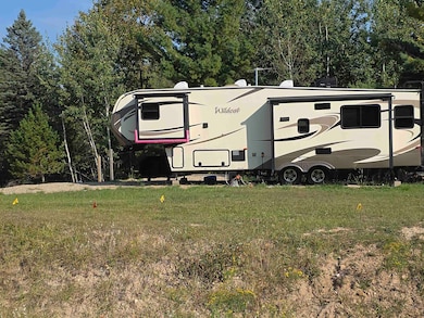 5432 Worchester Way, Butman Township, MI 48624 - photo 3