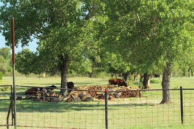 150 Park View Ct, Springtown, TX 76082 - photo 4