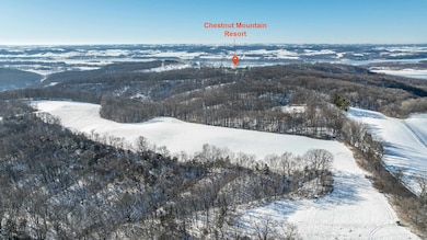 TBD W Chestnut Mountain Rd, Rice Township, IL 61041 - photo 7