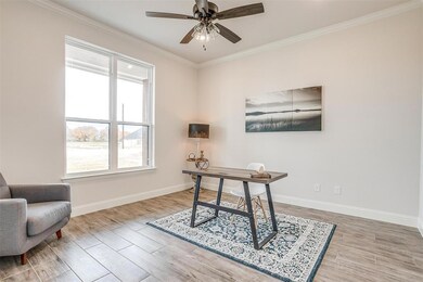 1035 Alex Dr, Springtown, TX 76082 - photo 7