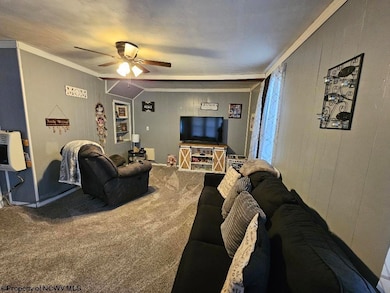 61 Leo Menendez Dr, Meadowbrook, WV 26404 - photo 4