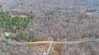 6124 Wild Horse Canyon Rd, Snow Camp, NC 27349 - photo 5