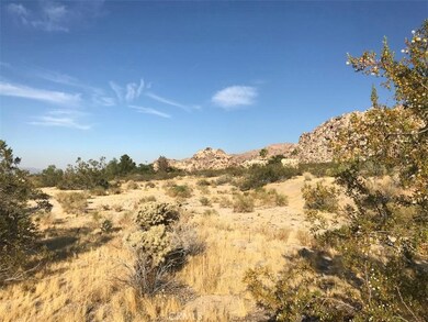 7137 Mount Lassen Ave, Joshua Tree, CA 92252 - photo 2