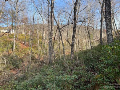 00 Dobsons Knob Loop Rd unit 32, Marion, NC 28752 - photo 4