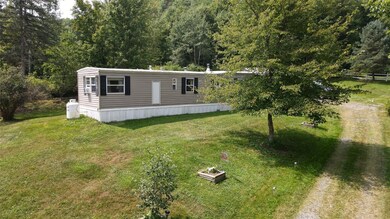1321 Hyde St, Whitney Point, NY 13862 - photo 5
