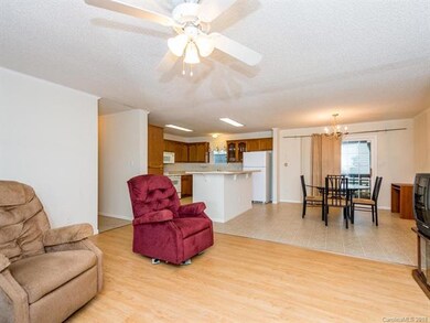 275 Lamonda Dr, Hendersonville, NC 28792 - photo 5