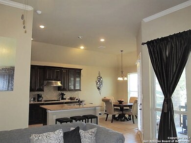 25619 Wentink Ave, San Antonio, TX 78261 - photo 7