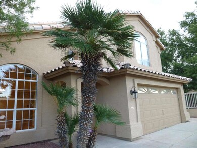 Easy Care Landscaping