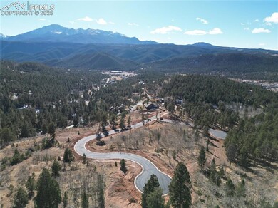 1370 Blue Haven Place, Woodland Park, CO 80863 - photo 5