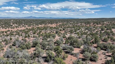 42374 Conwaden Rd, Ash Fork, AZ 86320 - photo 2