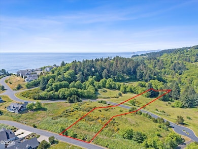 2-DJI_20250617162745_0102_D_DJI copy