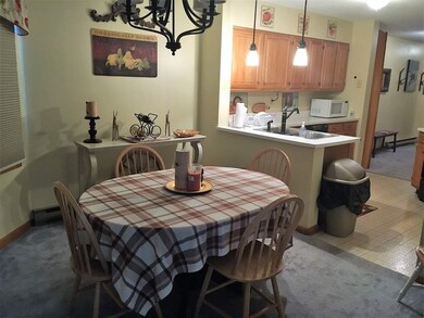 20 Crossing Dr, Woodstock, NH 03262 - photo 5