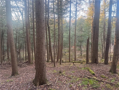 0 Thorpe Hill Rd, Masonville, NY 13838 - photo 4