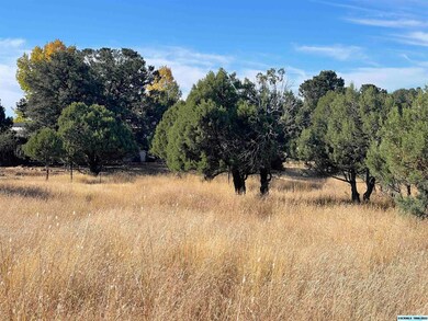 xx Himalaya Ct, Silver City, NM 88061 - photo 5