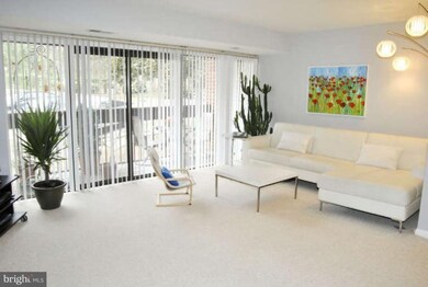 53 Skyhill Rd unit 201, Alexandria, VA 22314 - photo 7