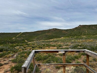 000 Currant Creek Rd, Cedaredge, CO 81413 - photo 5