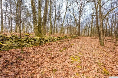 131 Benton Rd, Gallatin, NY 12502 - photo 6