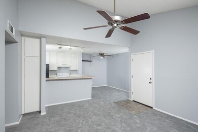JR_0491_web