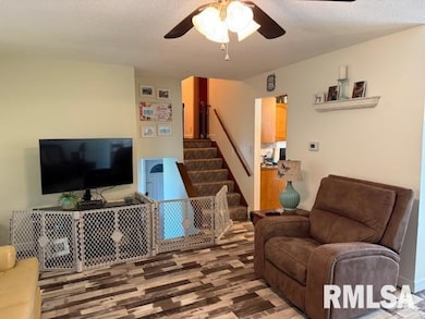 404 N Maple St, Christopher, IL 62822 - photo 3