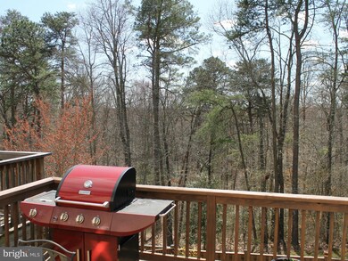 2542 Running Wolf Trail, Odenton, MD 21113 - photo 7