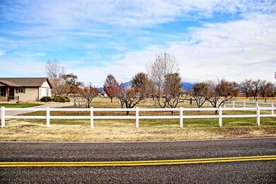 698 29 1/2 Rd, Grand Junction, CO 81504 - photo 2