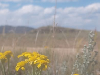 0 Mockingbird Ln, Hartsel, CO 80449 - photo 4