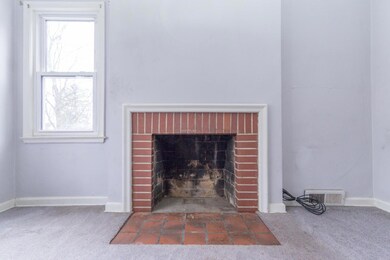 Wood Burning Fire Place