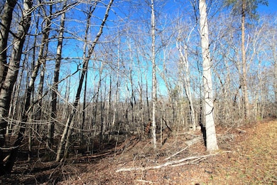 1559 Country Estates Rd, Inman, SC 28349 - photo 5