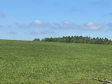 935 lot 3 Goff Rd, Quitman, AR 72131 - photo 4