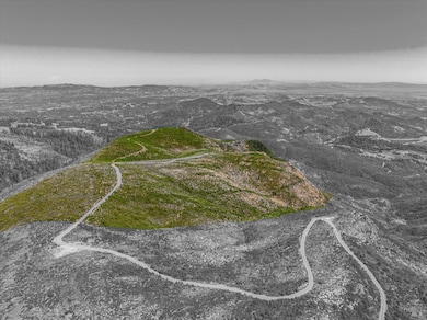 View from above where approx. boundary begins on the Northern side of the property.