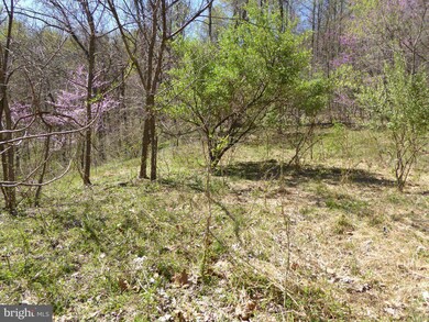 0 Little Long Rd unit 1000406659, Bentonville, VA 22610 - photo 6