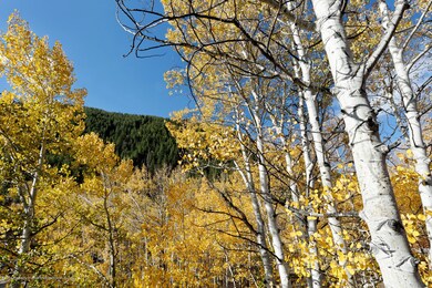 Aspen Mountain View