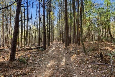 000 Lower Dowda Mill Rd, Jasper, GA 30143 - photo 7